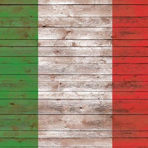Italian Flag Dark Wood Nintendo 2DS XL (2017) Skin